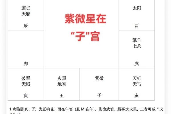 紫薇斗数富翁格局