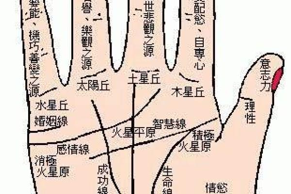 面相奇术：摸骨看面相算命口诀