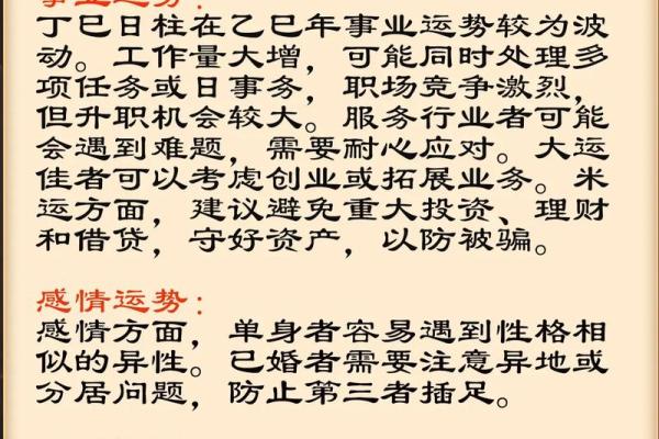 八字丁巳日