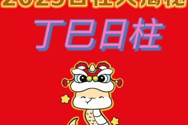 八字丁巳日