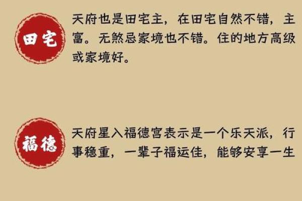 紫薇斗数耗驿