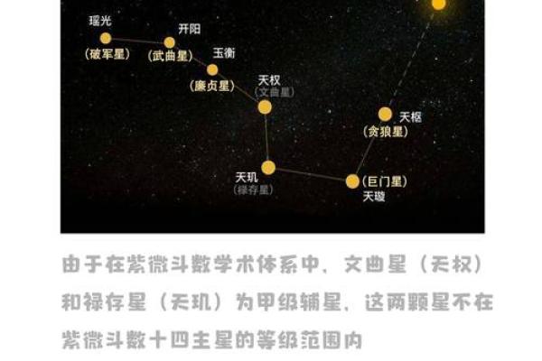 紫薇斗数有什么用