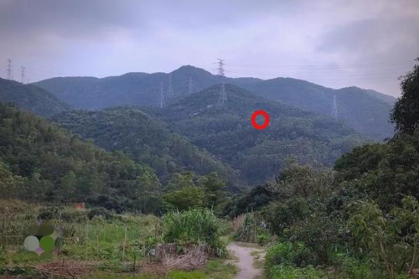 墓地风水宝地隐藏这样天机秘密
