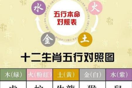 风水12生肖寿命最长的是什么动物是它吗