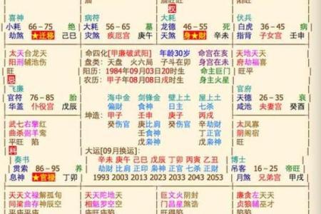 紫薇斗数富翁格局