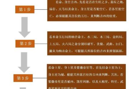 紫薇斗数排盘步骤