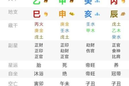 八字乙巳日