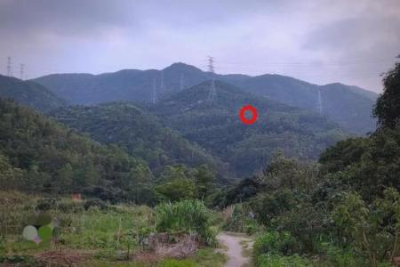 墓地风水宝地隐藏这样天机秘密