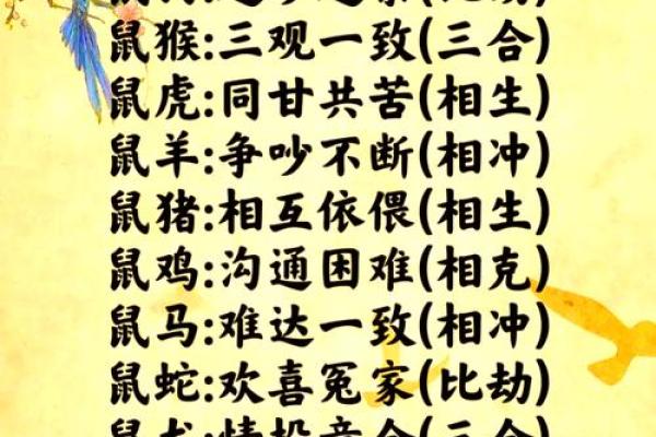 鼠狗生肖配对姻缘合适吗 鼠狗婚配的婚姻如何？