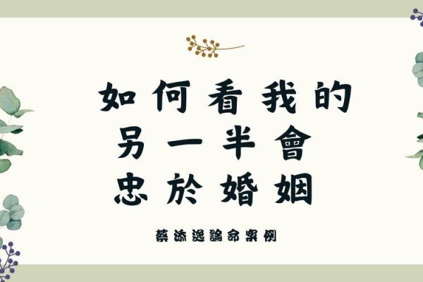 紫薇斗数免费合婚