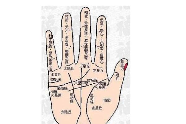 民间手相和指纹的算命口诀顺口溜