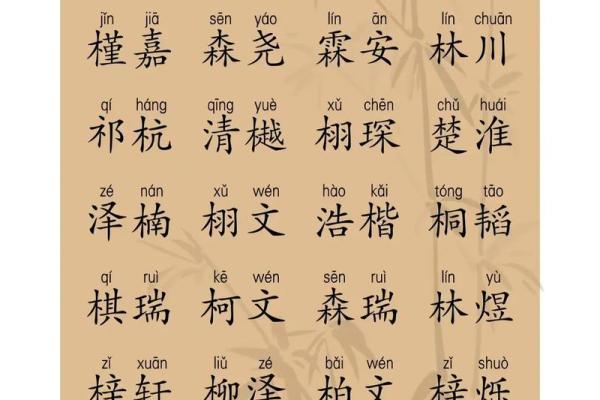 2019年3月16号巳时出生的男孩要怎么起名字姓名