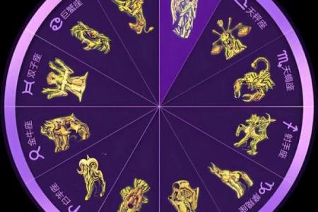 背叛十二星座的后果