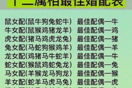 鼠狗生肖配对姻缘合适吗 鼠狗婚配的婚姻如何？