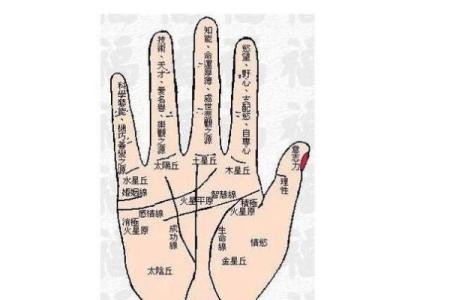 民间手相和指纹的算命口诀顺口溜