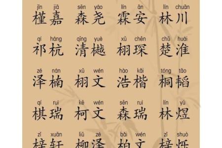 2019年3月16号巳时出生的男孩要怎么起名字姓名