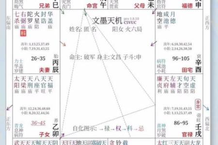 紫微斗数迁移 紫微斗数迁移宫看出国？