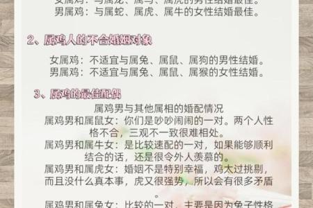 女猴男鸡生肖配对姻缘