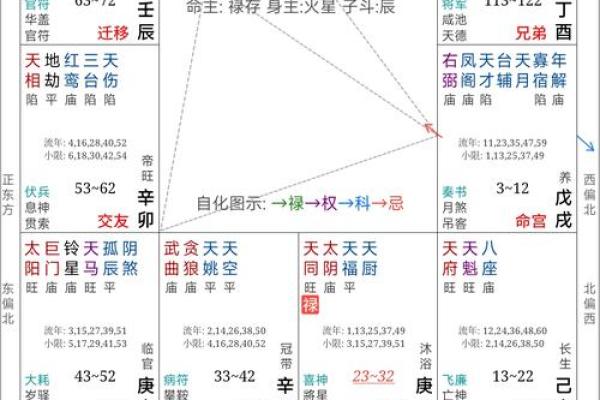 紫薇斗数不知道时辰怎么办