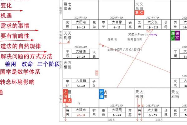紫薇斗数 四化盘怎么看