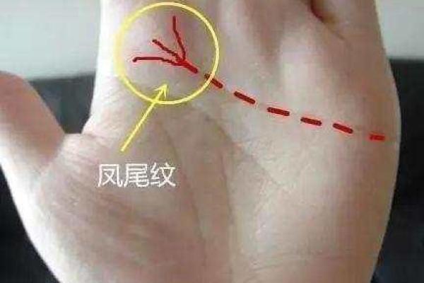 花轿在算命中是什么意思
