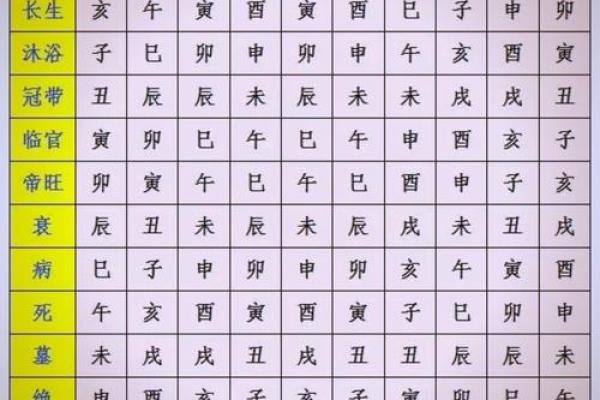 生命的八字