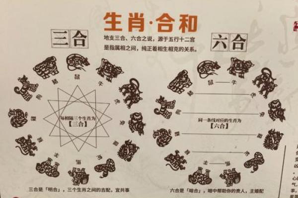属马和属蛇的人相配吗 属马和属蛇你们配对关系如何