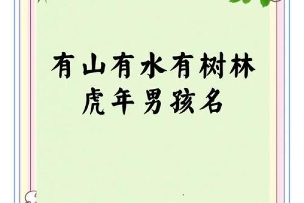 中午12点出生的属虎男孩如何起名，宜用什么字姓名