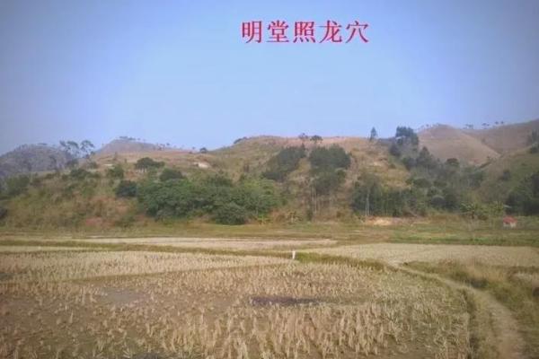 如何破坏墓地风水