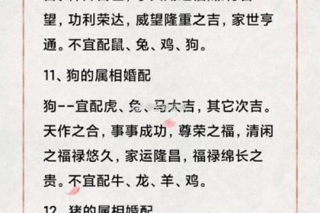 八字合婚测算-属相婚配什么属相好