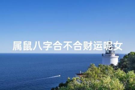 属鼠和属虎的八字合不合得来,属虎的跟属鼠的合财吗