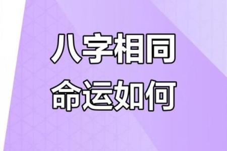 八字一样为什么命运不完全相同？