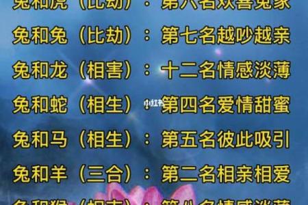 属鼠A血型的人性格与事业姻缘