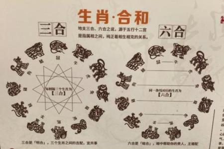 属马和属蛇的人相配吗 属马和属蛇你们配对关系如何