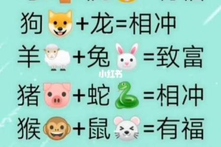 生肖属相配对表 十二生肖属相配对表