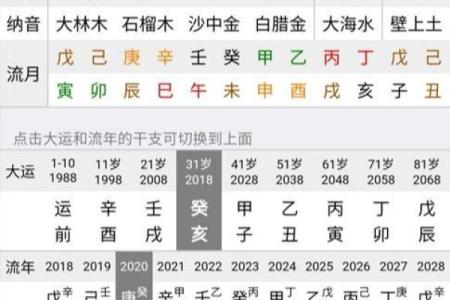 禄马同乡八字详批解析及命运分析