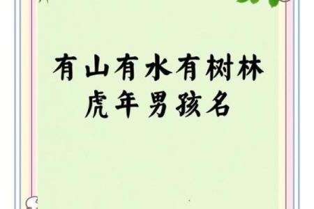 中午12点出生的属虎男孩如何起名，宜用什么字姓名