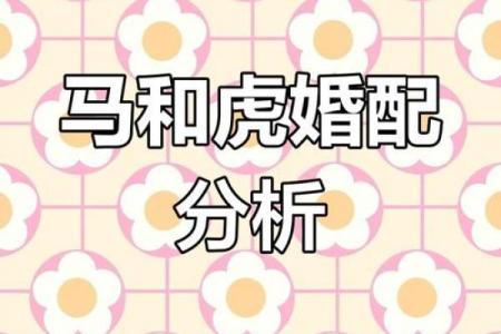 生肖配对姻缘男龙女马 十二生肖男龙女马相配吗？