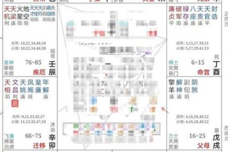 紫薇斗数命宫主星是什么