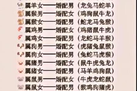 属兔男和什么属相最配对