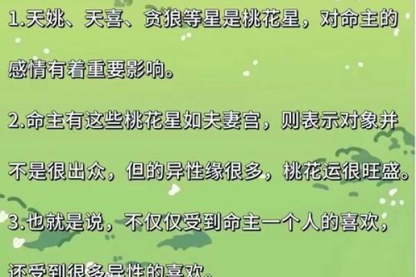 紫微斗数看会拥有美好婚姻的人