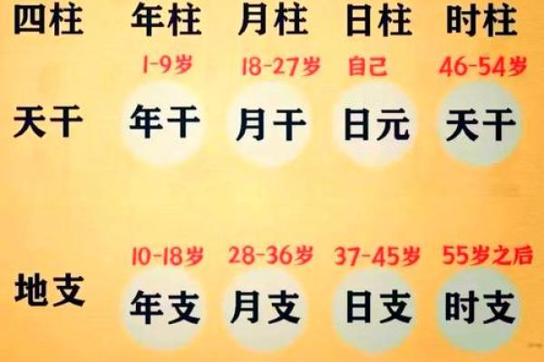 生辰八字算法教学
