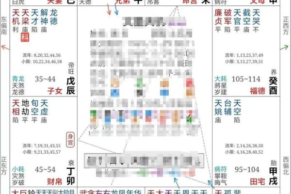 紫薇斗数案例解析
