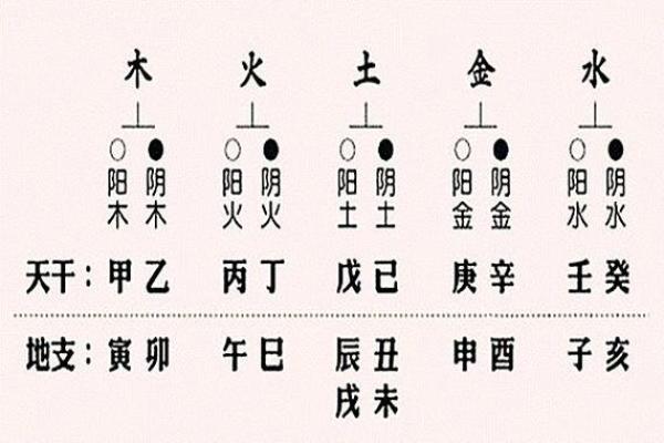 八字四阴四阳