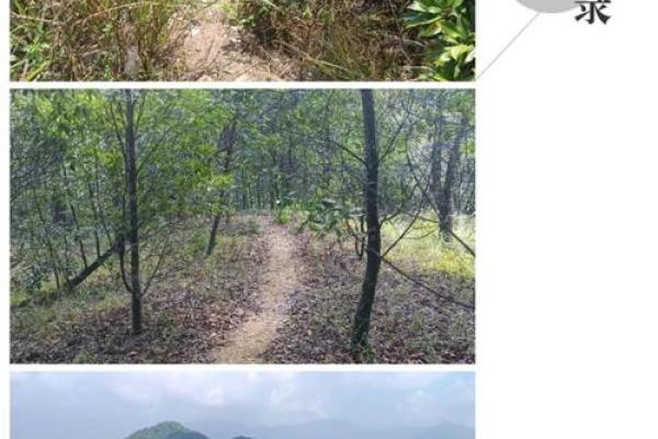 九龙峰谭公灵签25签