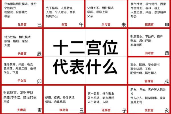 紫薇斗数速成