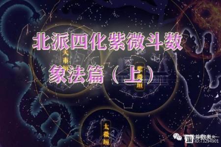紫微斗数之生年干四化表象：财帛宫四化