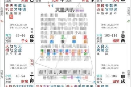 紫薇斗数案例解析