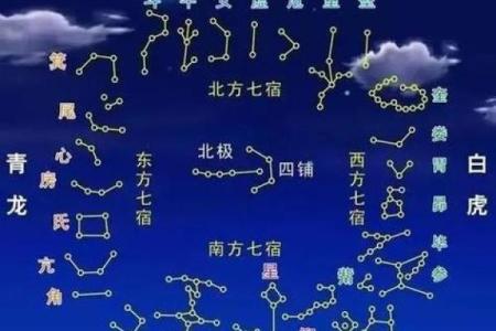 艺术紫薇斗数