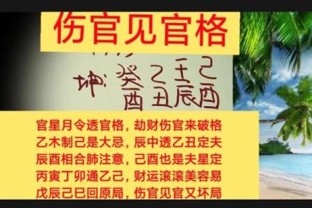 八字喜伤官